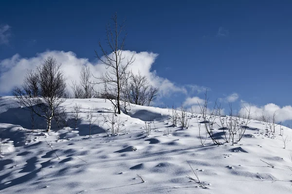 stock image Moods of winter