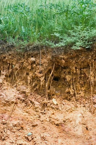 土壌浸食 — ストック写真