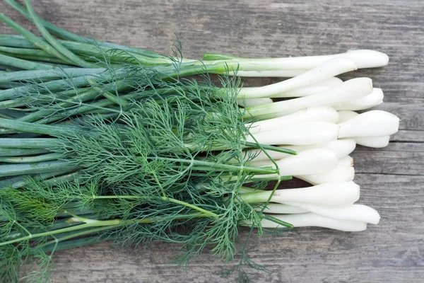 Stock image Green leek with dill