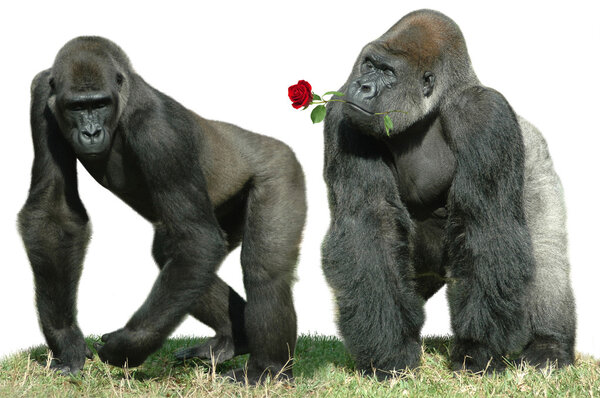 Выходи за меня
?