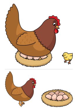 Hatching Hen clipart