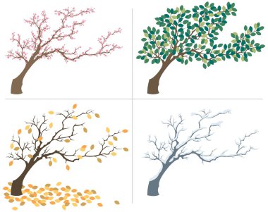 Seasons clipart