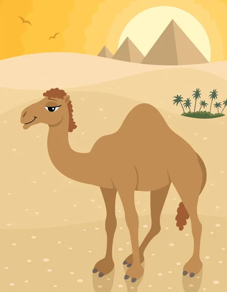 Kamel in Ägypten — Stockvektor