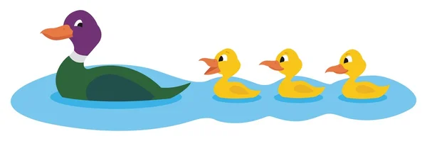 Patos nadando — Vector de stock