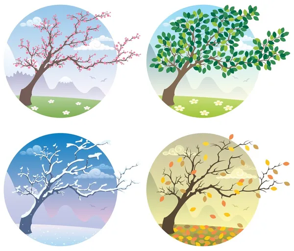 Quatre saisons — Image vectorielle