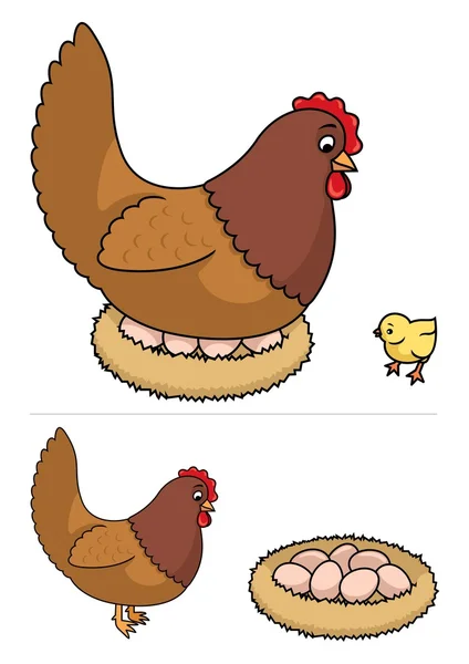 Broedeieren kip — Stockvector