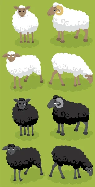 Cartoon Sheep — Stock Vector