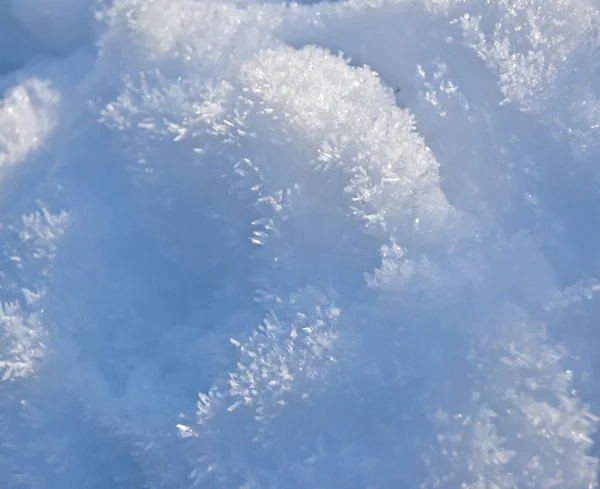 Stock image Snow flakes