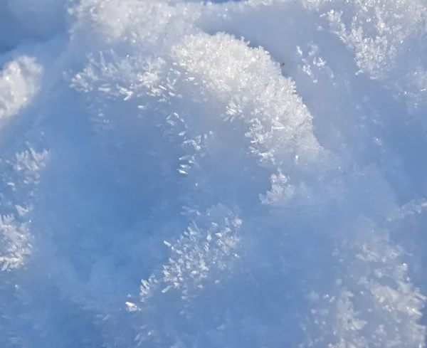Νιφάδες χιονιού — Φωτογραφία Αρχείου