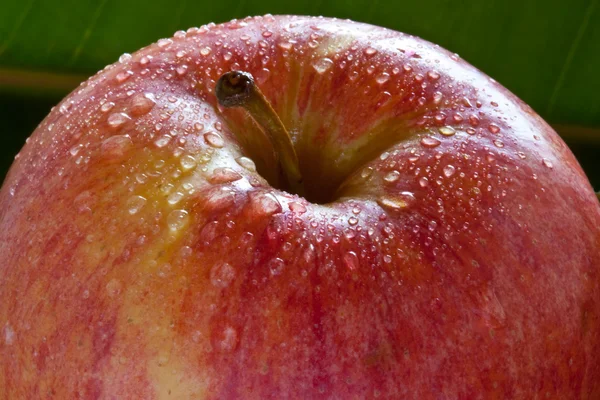 stock image Colorful apple