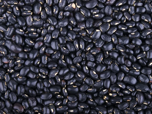 stock image Black beans