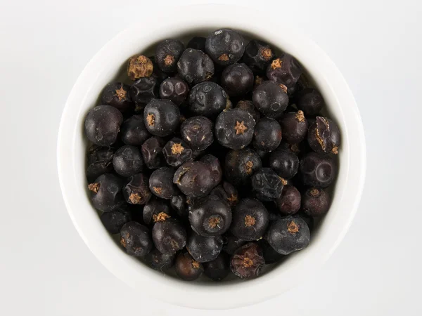 stock image Juniper berries