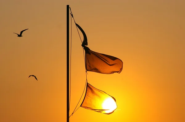 Flaggor vid solnedgången — Stockfoto