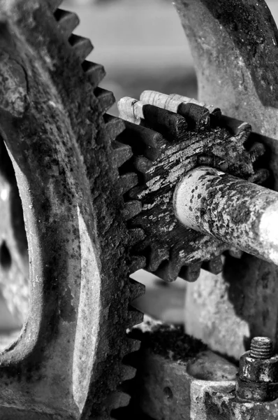 stock image Gears in bw