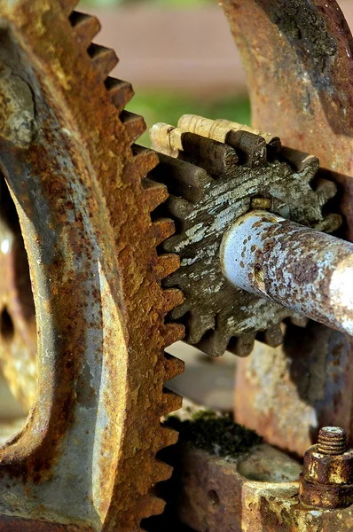 Two Gears — Stock Photo, Image