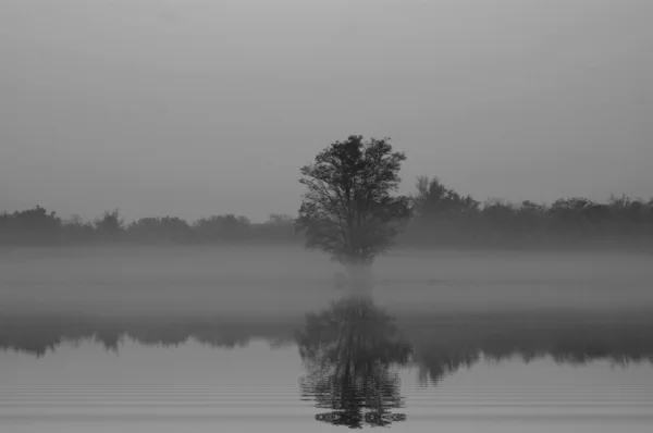 Jesienna mgła — Zdjęcie stockowe
