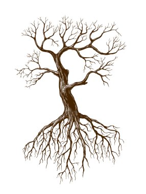 Old tree clipart