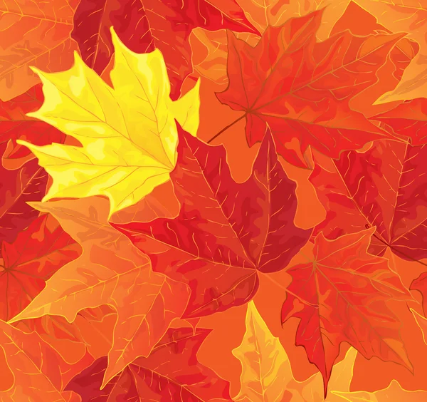 Herbstliche Ahornblätter — Stockvektor