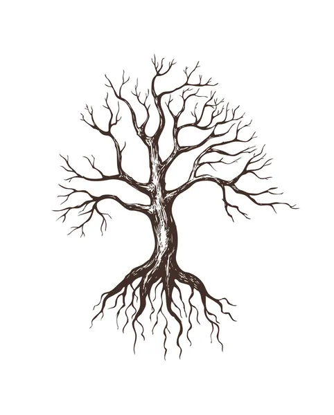 大きな葉のない木 — ストックベクタ