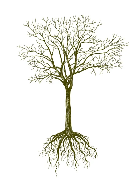 Großer blattloser Baum — Stockvektor