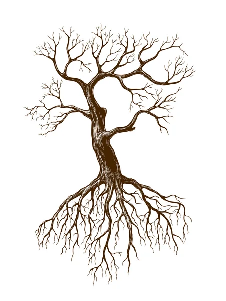 Velha árvore — Vetor de Stock
