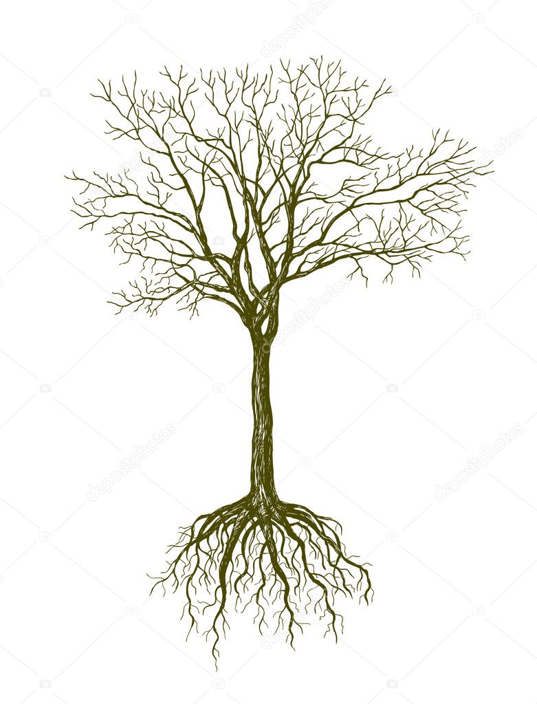 Big leafless tree