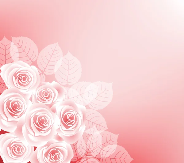 Roze rozen — Stockvector