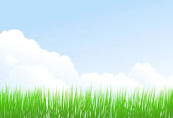 Grönt gräs och himmel — Stock vektor