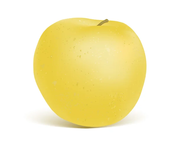 노란 사과 — 스톡 벡터