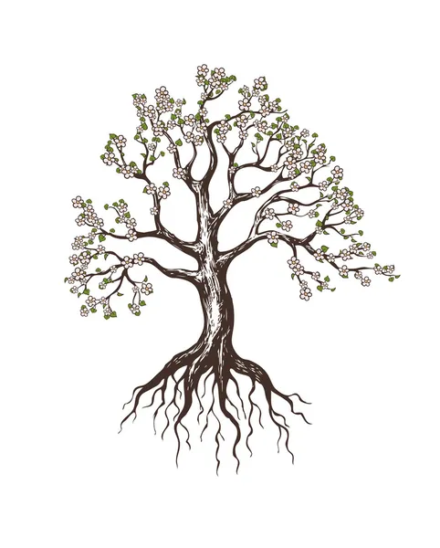 Blooming tree — Stock Vector