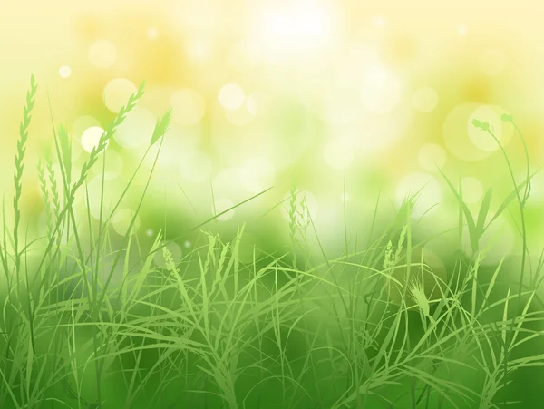Зелена трава — стоковий вектор