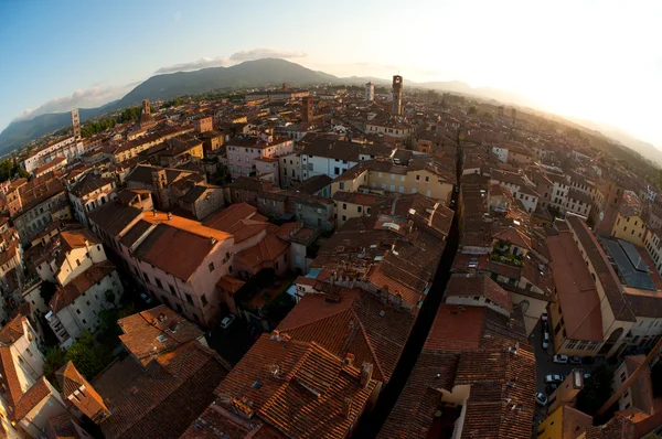 Місто Лукка в Тоскані Італія Стокове Зображення