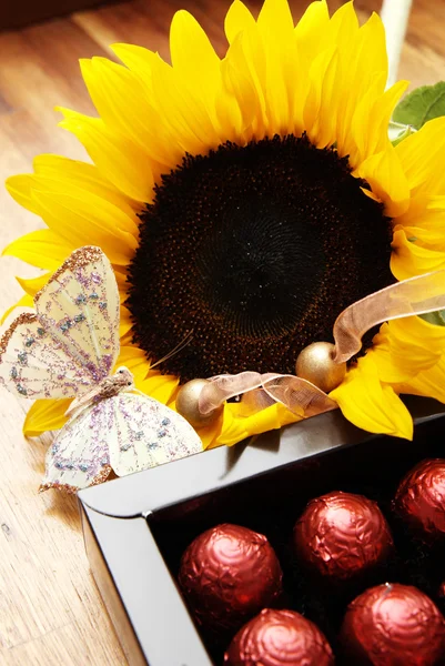 Sunflower, butterfly and chocolate balls — Stock Photo, Image