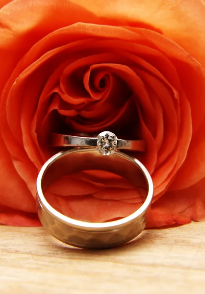 Wedding rings on a red rose — Stock Photo, Image