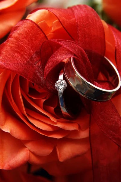 stock image Wedding rings on a red rose