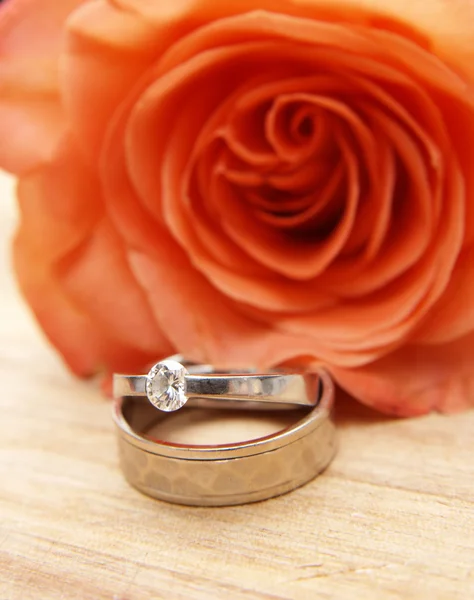 Обручальные кольца на красной розе Стоковое Фото