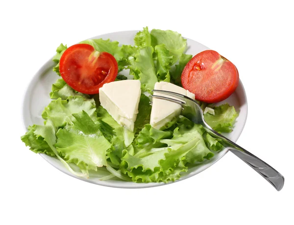 Cheese salad — Stock Photo, Image