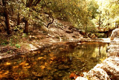 cascadas de şark