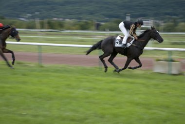 Hipódromo clipart