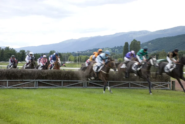 stock image Hipódromo