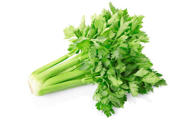 Green celery isolated on white