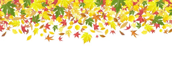 Caída del borde de hojas de otoño —  Fotos de Stock