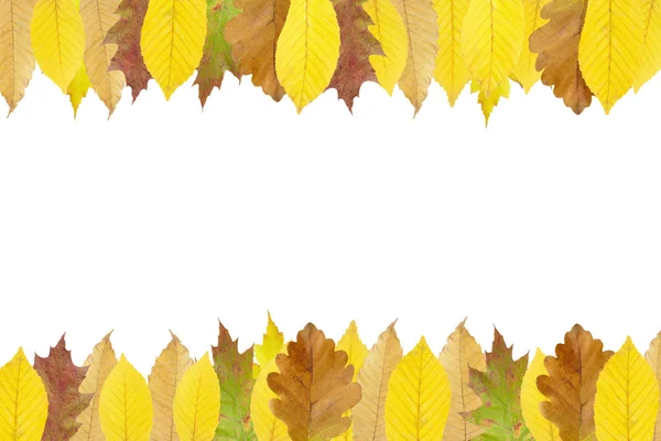 Rámec podzimních listů — Stock fotografie