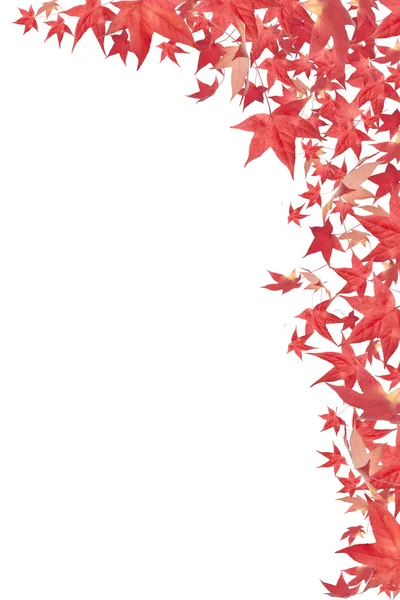 Spadające jesienią czerwone liście granicy — Zdjęcie stockowe