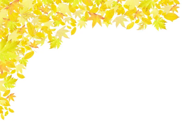 Klesající žluté podzimní listí hranice — Stock fotografie