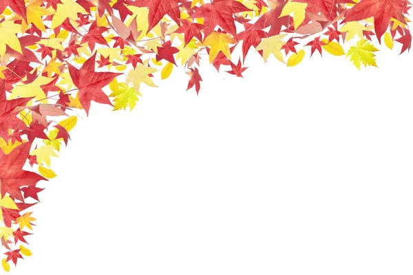 Spadające jesienią liście ramki — Zdjęcie stockowe