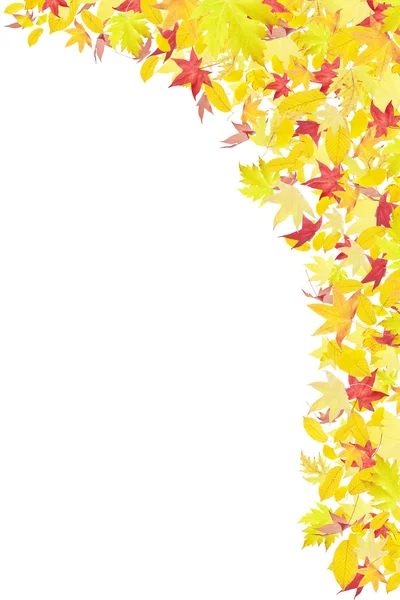 Düşen sonbahar yaprakları çerçeve — Stok fotoğraf