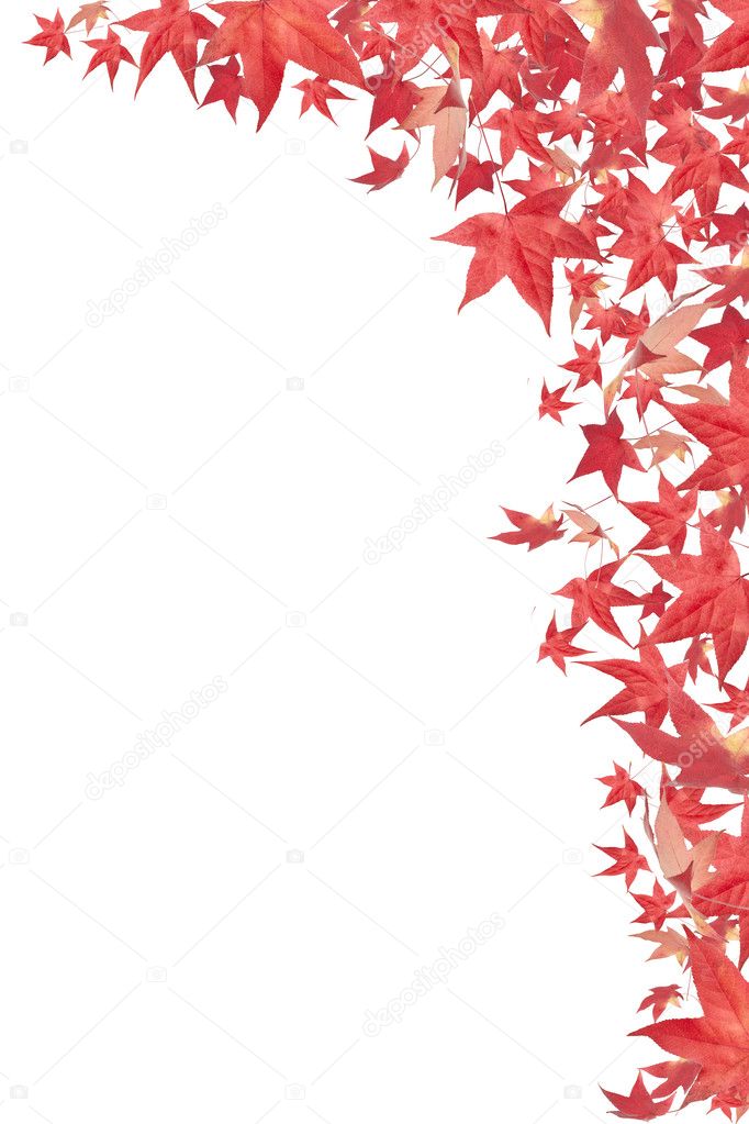 Falling red autumn leaves border