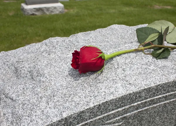 Rosa em um túmulo — Fotografia de Stock