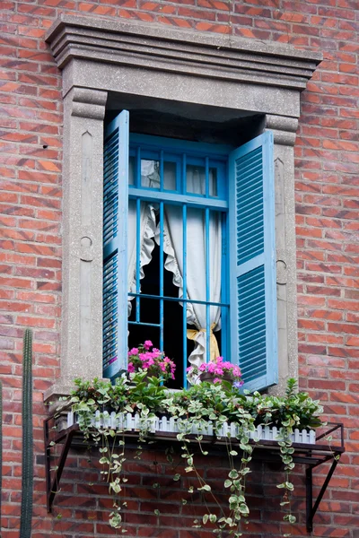 꽃과 벽돌 벽과 창 스톡 사진